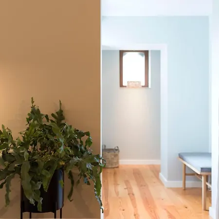 Apartment Loft Ii *